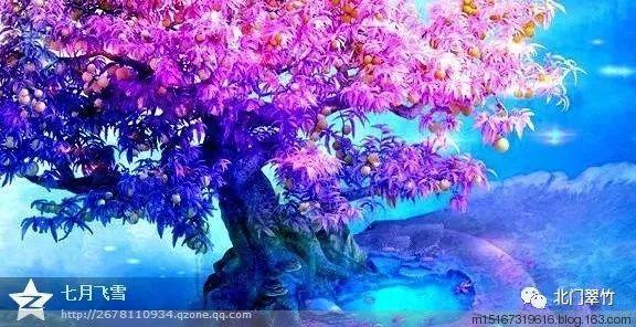 比萨挑战赛